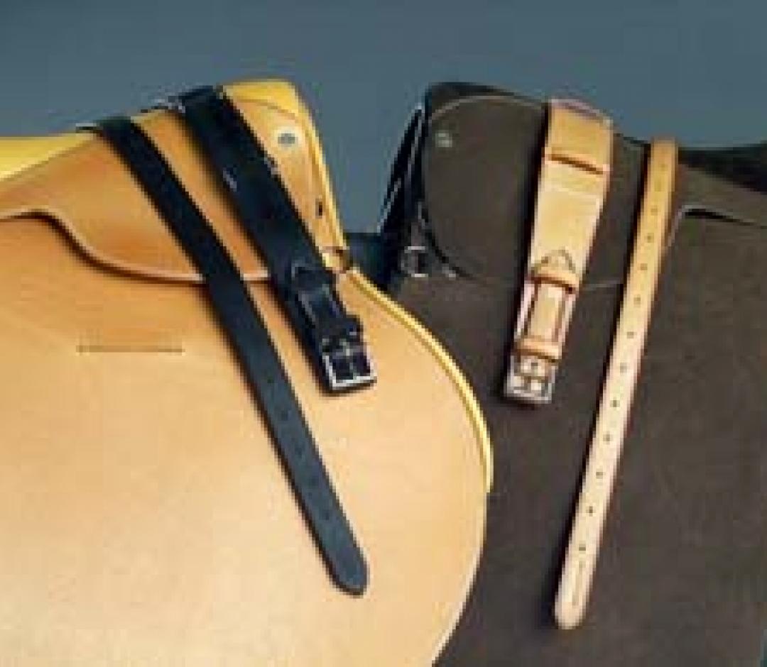 Equipment – Texas Polo