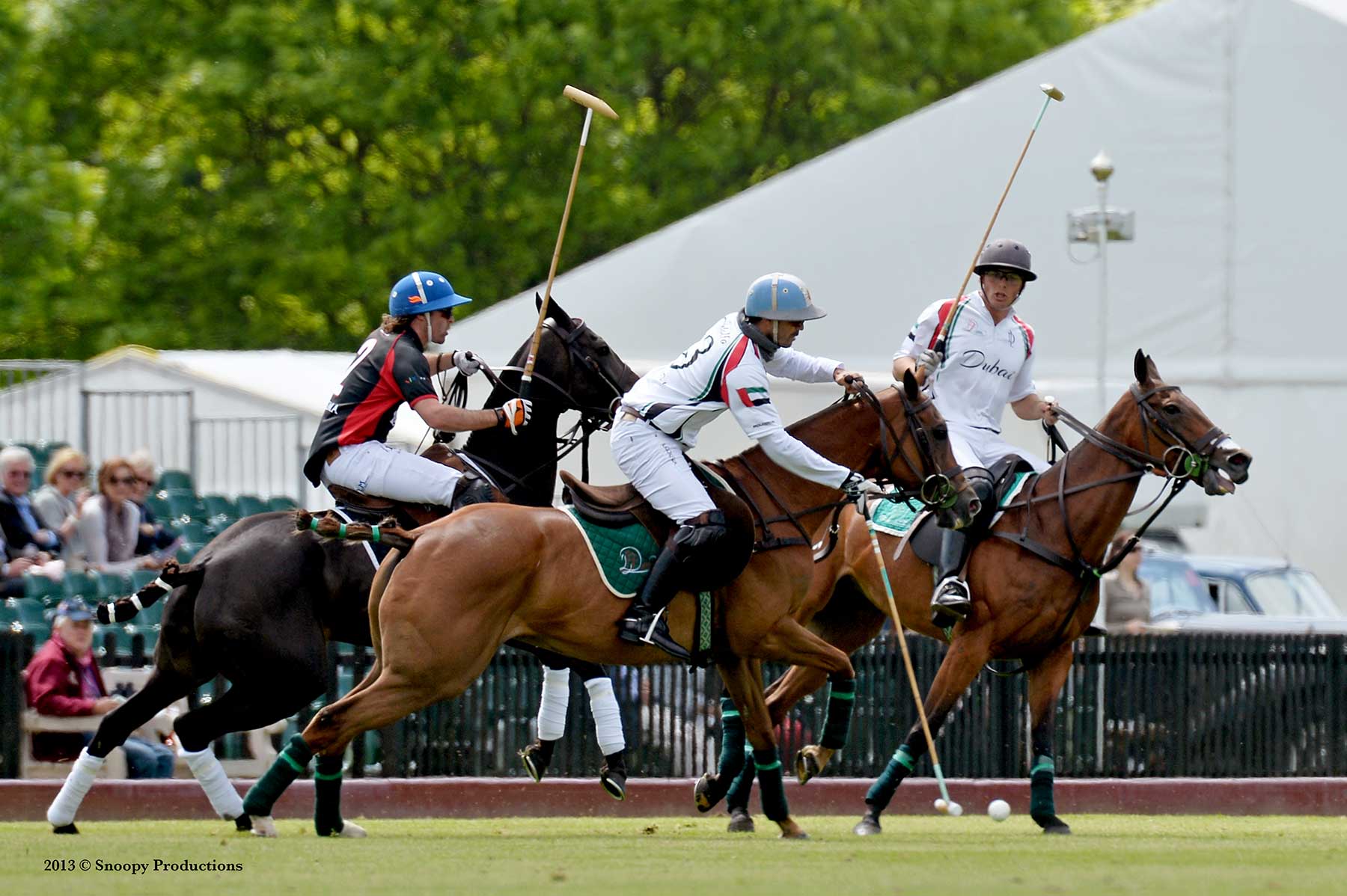 Welcome To Texas Polo